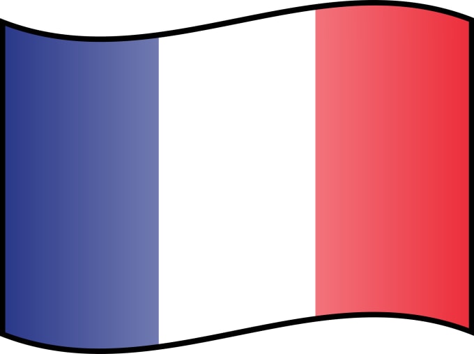 I will translate your website english into french