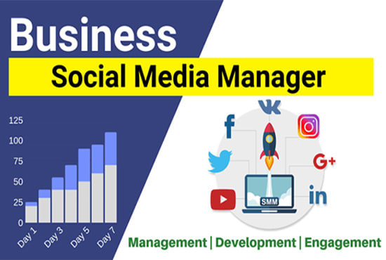 I will do monthly social media management and marketing job