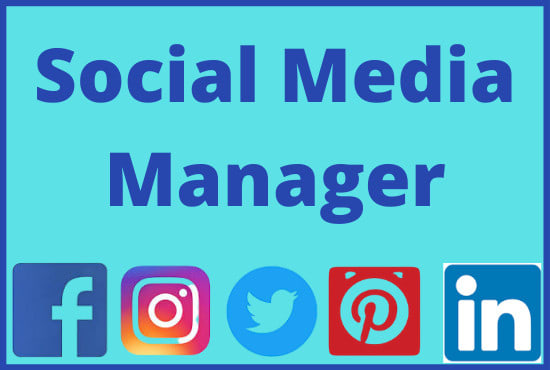 I will be your personal social media manager