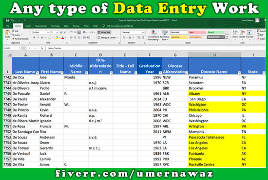 I will complete any type of data entry work