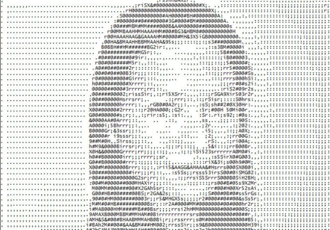 I will convert your photo to text ascii character