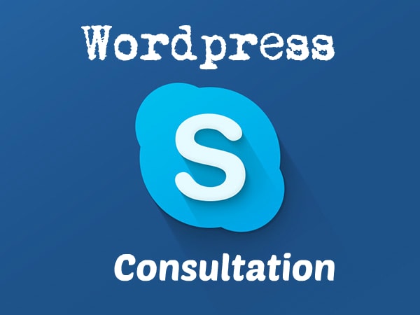 I will do 30 mins wordpress skype consultation