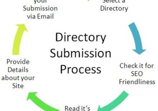 I will do 500 manual  Directory Submission