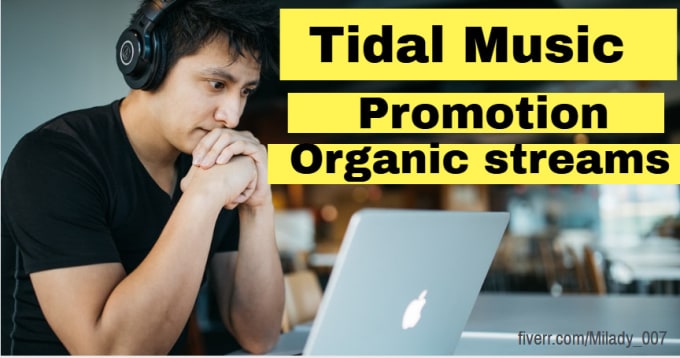 I will do a tidal music promotion package