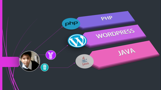 I will do api integration, php, javascript, jquery scripts and wordpress scripts