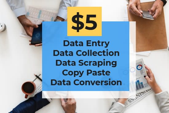 I will do data entry, data mining,copy paste, pdf to excel