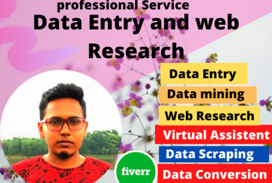 I will do perfectly data mining,web research, copy paste and data entry