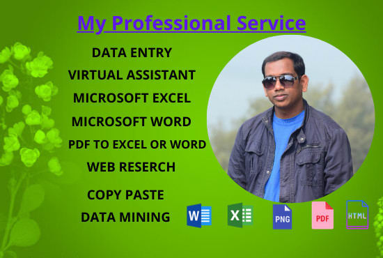 I will do the job data entry, virtual assistant, web research, copy paste, data mining