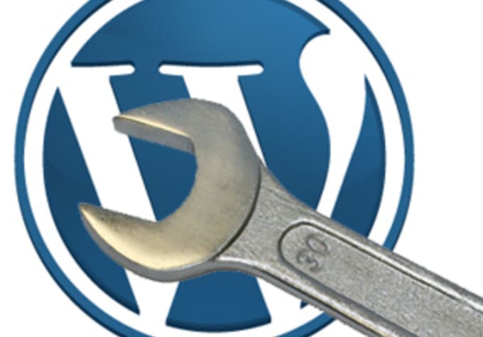 I will fix all Your WordPress Website Issues,Errors, Bugs