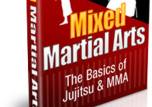 I will give Complete guide to understanding mma with plr