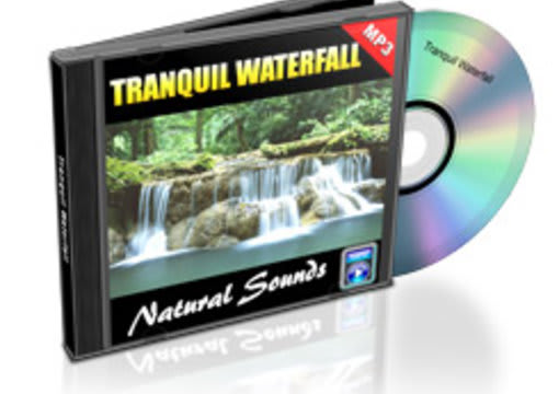 I will give you 4 hours of various nature sounds mp3 recording of your choice