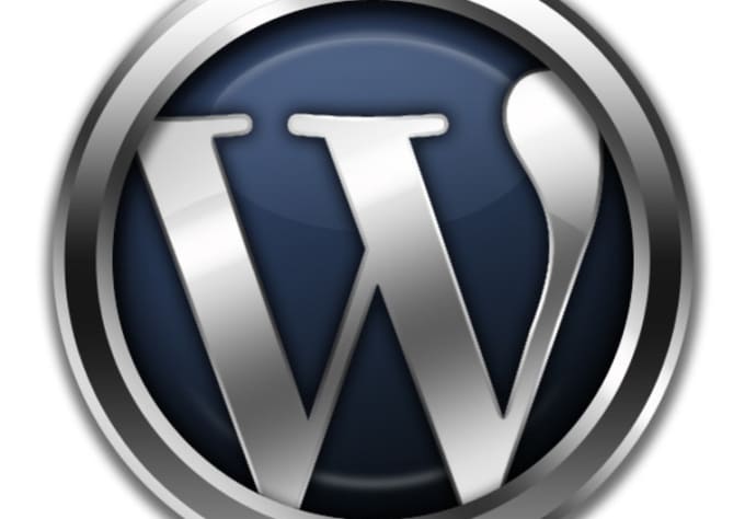 I will help you to create professional wordpress website