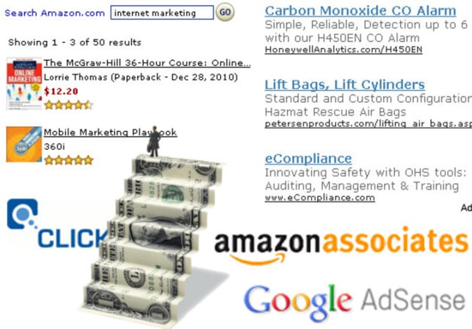 I will install code for adsense or amazon ads on wordpress website