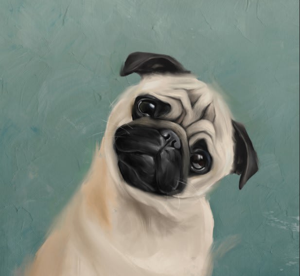 I will make your pets and animal portraits