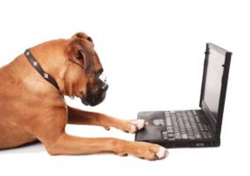 I will promote your dog related website on my blog