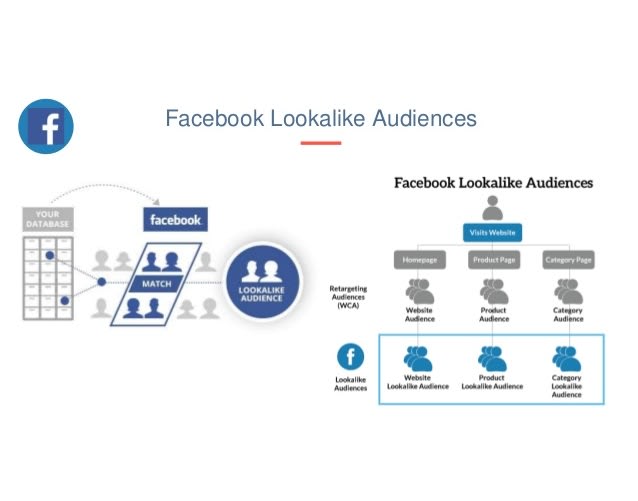 I will provide active facebook leads of your niche for lookalike audiences