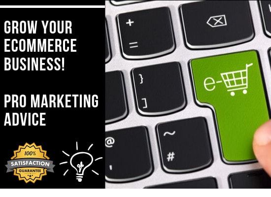 I will provide expert ecommerce digital marketing consulting