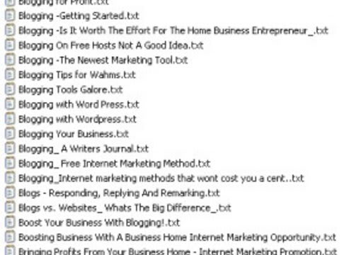 I will sell 1000 Top Quality Internet Marketing, Blogging Unrestricted PLR articles