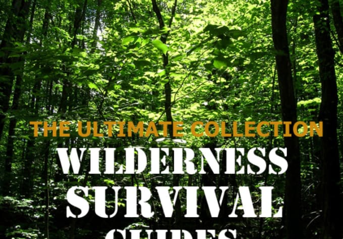 I will sell 32 Wilderness Survival Guides Plus Resale Rights Complete Training Skills Tips and Tactics 2012 Edition