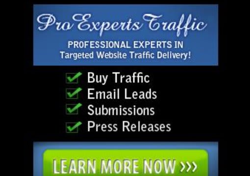 I will send 1000 Targeted Website Traffic Hits From USA Visitors