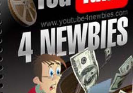 I will send to you Youtube 4 Newbies Guide and Video Tutorials