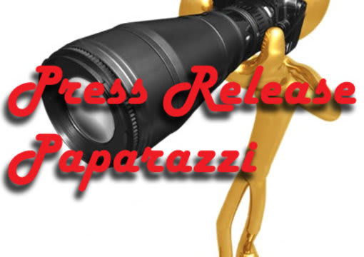 I will submit your ten press release to top  10 PR sites