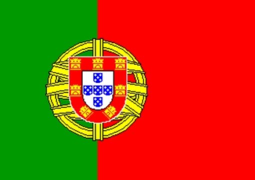 I will teach you portuguese via skype