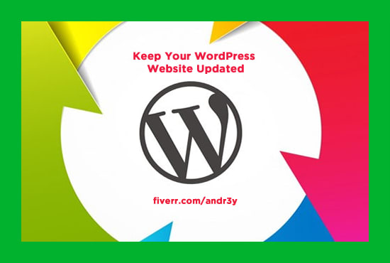 I will update your wordpress, plugins and themes