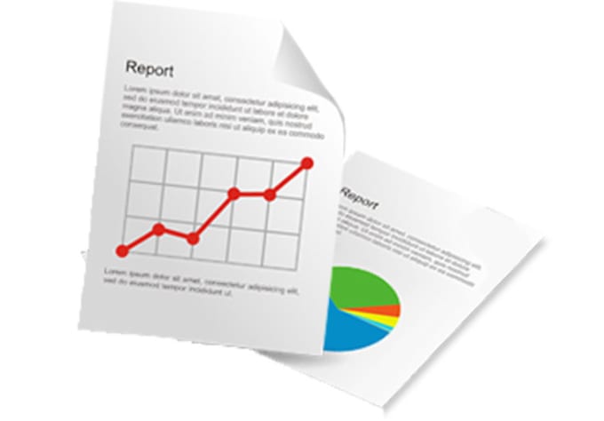 I will write an indepth 30 plus page SEO report for your site with top 10 competitors