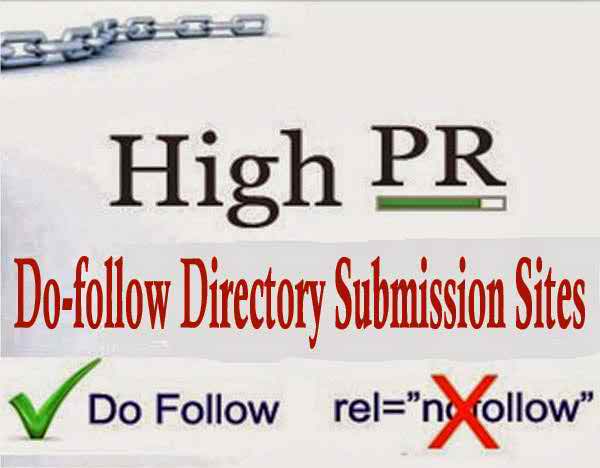 I will 30 directory submissions manually