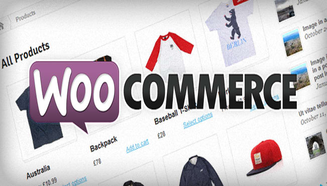 I will add products to woocommerce site
