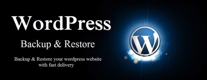 I will backup and restore your wordpress website
