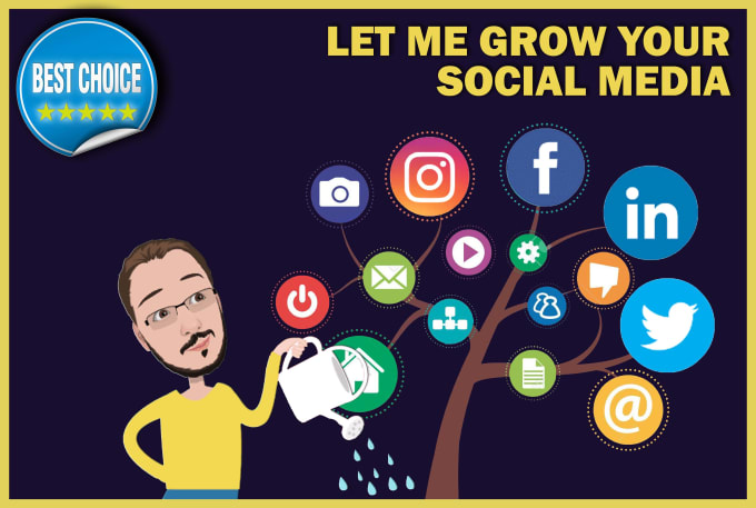 I will be social media marketing manager for your social media profiles