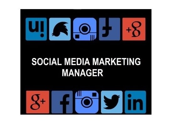 I will be your social media manager