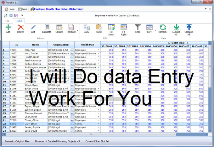 I will be your virtual assistant for data entry work