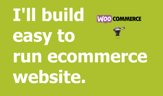 I will build an easy to run ecommerce website