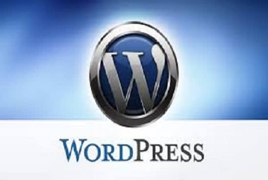 I will create or customize a wordpress ecomerce app, blog, company website