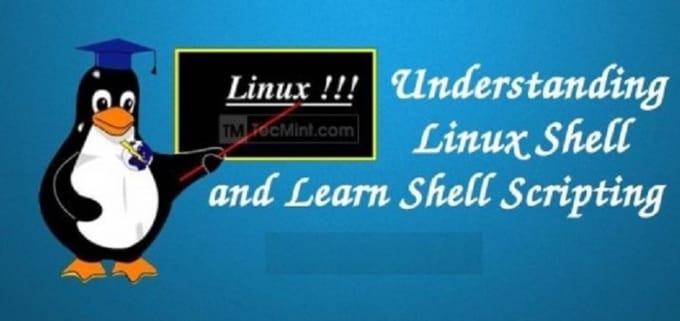 I will create shell, Perl and Python Scripts for Unix Linux