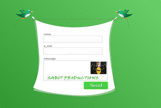 I will create wordpress contact form for your website
