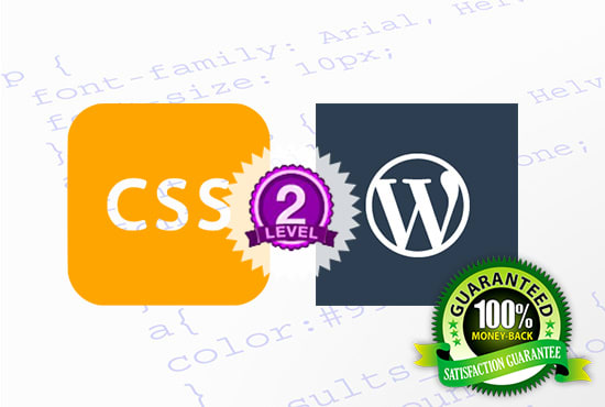 I will customize CSS of your wordpress site