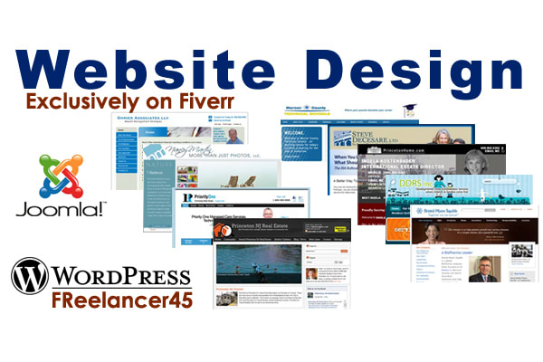 I will design SEO friendly wordpress website