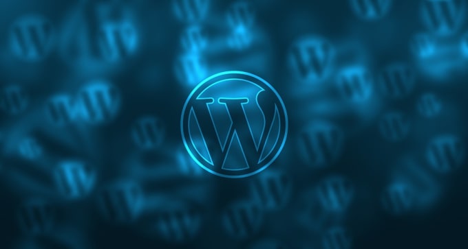 I will develop a professional wordpress site in your required time