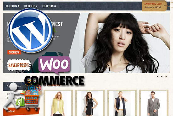 I will develop a professional wordpress store, wordpress website