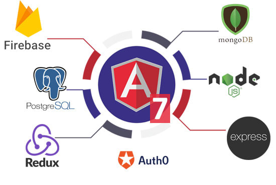 I will develop web app in angular 7,8 with redux