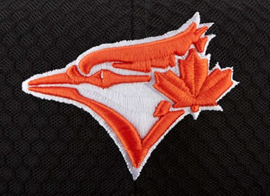I will do 3d puff embroidery digitizing in 1 hour