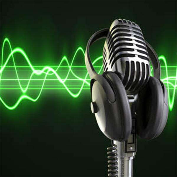 I will do a professional english and hindi voice over