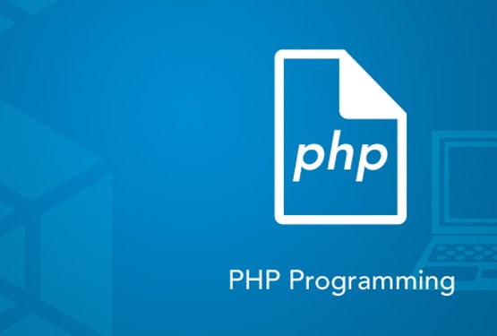 I will do any php script for your website