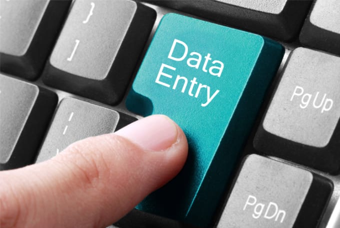 I will do any type of data entry work