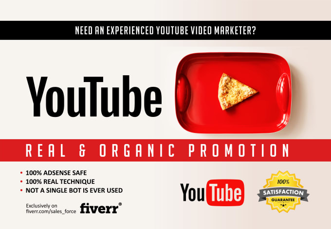 I will do professional and organic top youtube  promotion