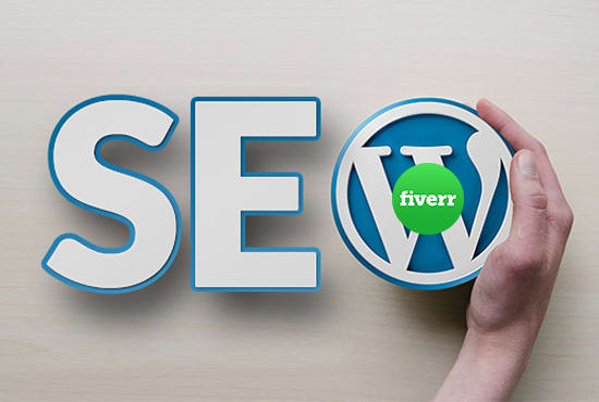 I will do seo for blog or website